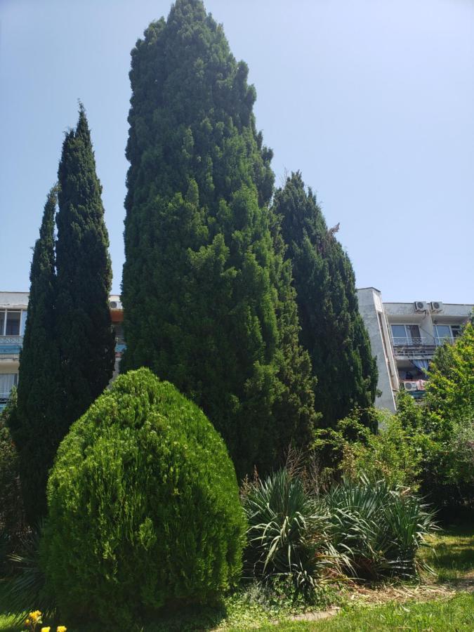 Family Hotel Magnolia Pantai Sunny Bagian luar foto